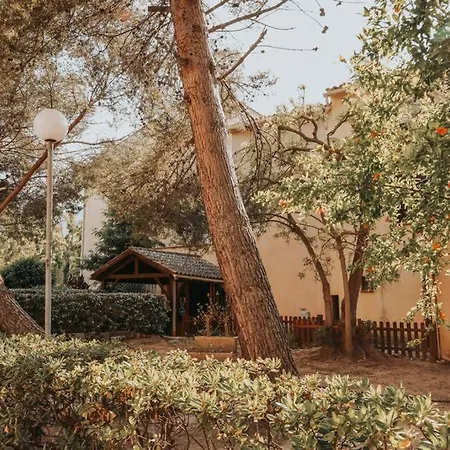 Appartement Calvi. T2 2/4 Personnes à 100 Mètres De La