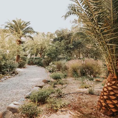 Calvi. T2 2/4 Personnes A 100 Metres De La * Calvi (Corsica)