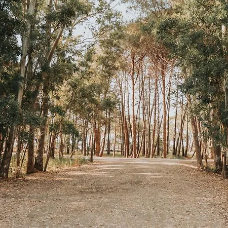 Appartement Calvi. T2 2/4 Personnes A 100 Metres De La Calvi (Corsica)